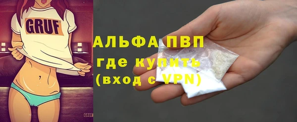 индика Богданович